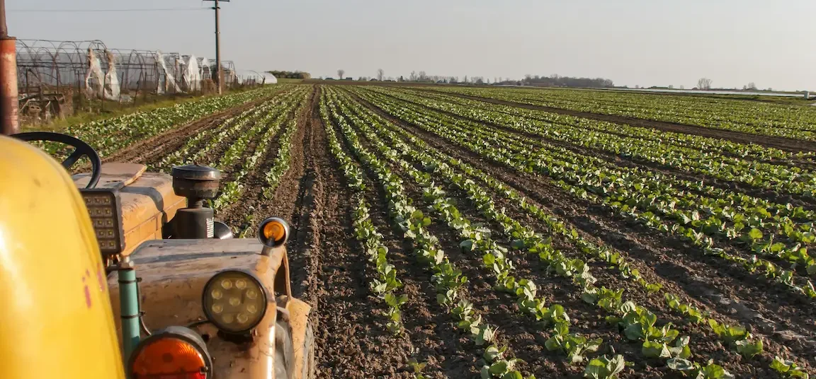 traktor na polu uprawnym